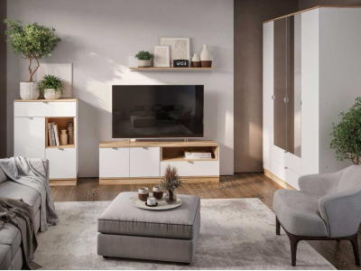 Стенка в гостиную "Юкки" К2